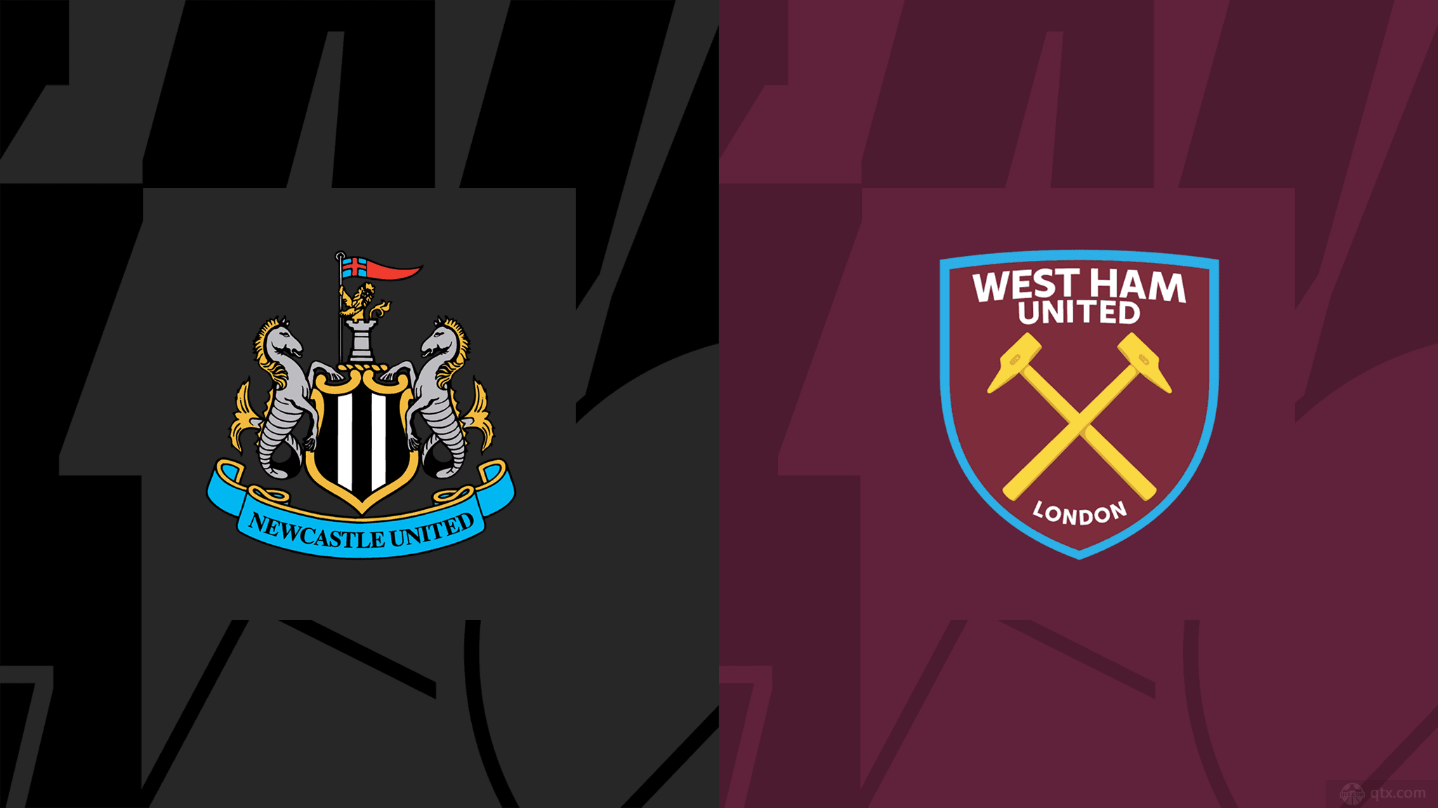 不仅是她个 不仅是她个